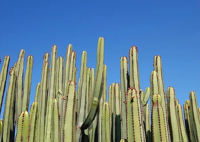 Villa Kaiman 18 By Villagrancanaria