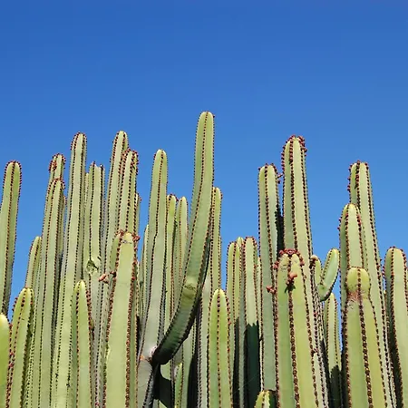 Вилла Kaiman 18 By Villagrancanaria